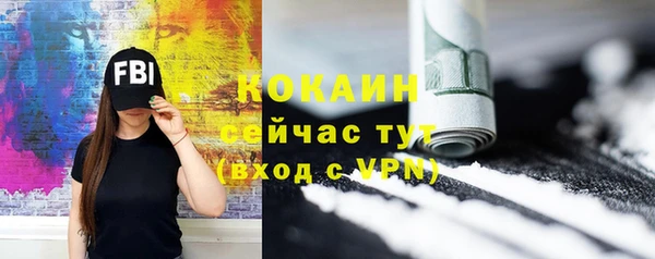 крисы Магадан