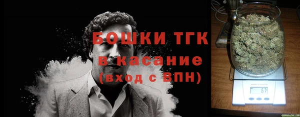 крисы Магадан