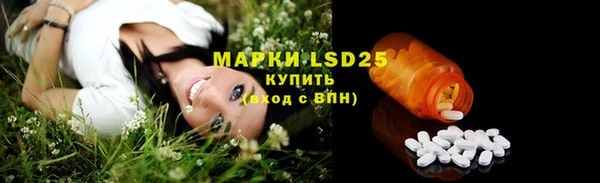 крисы Магадан