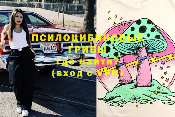 марки lsd Вяземский