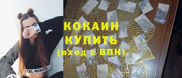 бошки Тавда