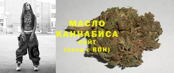 гидра Липки